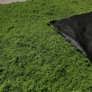 Artificial moss turf with dense green silk texture for landscape and bonsai decoration