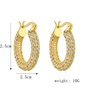 Dettaglio di orecchini a cerchio placcati oro 14K con zirconi, misura 2.5cm e peso 10g