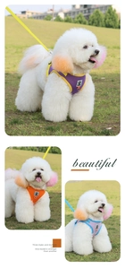 Three-color mesh dog harness set in purple, orange, and light blue on green grass