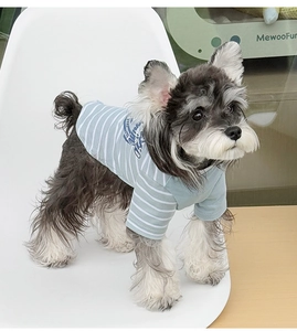Close-up of blue striped pet t-shirt fabric and print on a small dog puppy