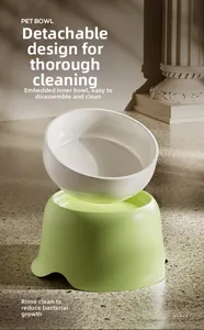 Exploded view showing detachable cream ceramic pet bowl and light green raised stand base