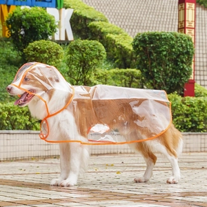 Transparent waterproof pet raincoat with orange trim for large dogs in a park