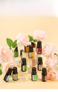 Collection d'huiles essentielles d'aromathérapie 10 ml avec fleurs et blocs acryliques