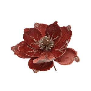 Deep red velvet Christmas magnolia flower with gold glitter decor on white background