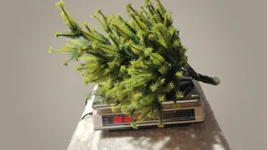 Detailed weight measurement of the mini flocked Christmas tree on a digital scale
