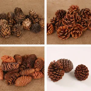Natural dried pine cones in various shapes for Christmas decor and craft accessories