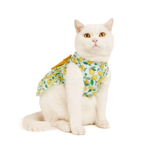 Detail of light blue dog dress with yellow lemon print and a large bow on the back