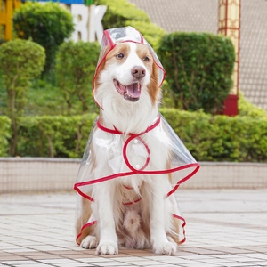 Detail of waterproof transparent dog raincoat with red edges and snap button closure
