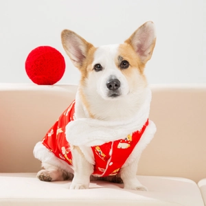 Gilet trapuntato rosso per cani con bordo in ecopelliccia bianca per feste invernali