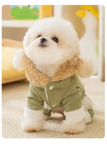 Detail of warm quilted winter dog coat with fleece collar and button closure