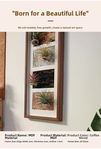 Detail view of coffee wood MDF air plant frame with 20x55cm dimensions and hollow interior