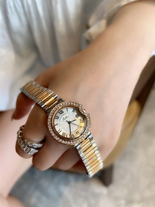 Close-up of a women's watch with two-tone band and sparkling diamond bezel detail