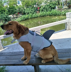 Golden Retriever wearing a blue shark fin life jacket on a wooden bench outdoors