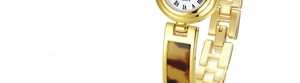 Detailed macro view of the gold jewelry clasp and tortoiseshell texture on the watch band