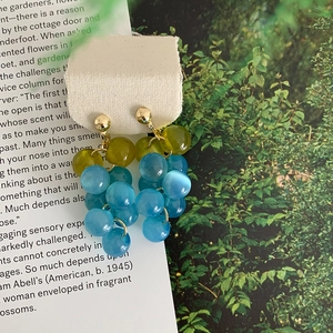 Detailed macro view of blue and green resin bead grape tassel earrings on canvas card