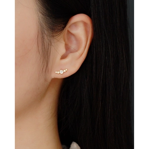 Elegant s925 silver gold-plated stud earrings with zircon row on a female ear