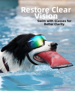 Detalle de gafas para perros con lentes de colores y correa ajustable en una piscina