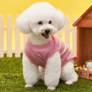 Pink pet t-shirt for small dogs on soft knit fabric shown on a white Bichon dog
