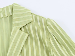Detail of green silk-blend dress with gold stripes, shirt collar and puff sleeves