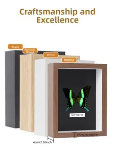 Depth detail of 3D shadow box frames for butterfly specimens in four wood finishes