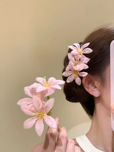 Ensemble détaillé d'épingles à cheveux fleurs roses et boucles d'oreilles clous