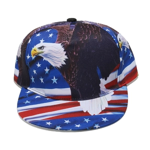 Detail van de adelaar en Amerikaanse vlag print op een snapback pet met platte rand