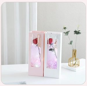 Detail of flower gift bag with PVC window, LED string lights and pink paper handle