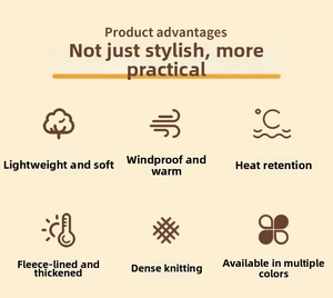 Infografik zu winddichten, warmen Plüschfutter und dichten Strickdetails für Winterhandschuhe
