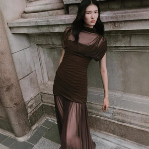 Brown sleeveless mesh maxi dress with ruched details and a high neck fit for women