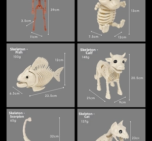 Detailed size and weight chart for six realistic animal skeleton Halloween decorations