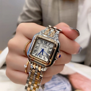 Elegante orologio al quarzo quadrato da donna con cinturino bicolore e numeri romani