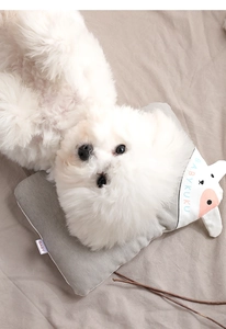 Nahaufnahme eines Bichon Frise auf einem weichen grauen Haustierkissen mit Schweinchenmuster