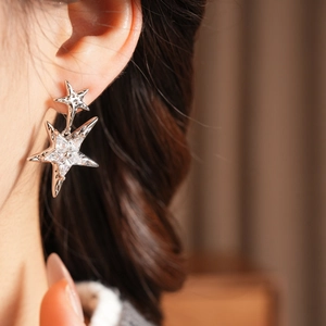 Makroaufnahme eines silbernen Sternohrrings mit Zirkonia und elegantem Anhänger-Detail