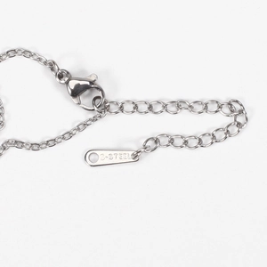 Macro shot of stainless steel chain with lobster clasp and S-Steel quality metal tag