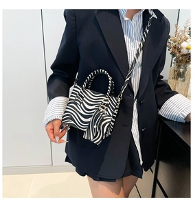 Close-up of zebra print crossbody bag with matching strap and coin purse on model