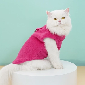 Close-up of a white cat in a pink fleece pet vest with a D-ring for leash attachment