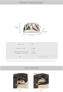 Size chart for golden cloud bag showing dimensions 22cm width and 12cm height