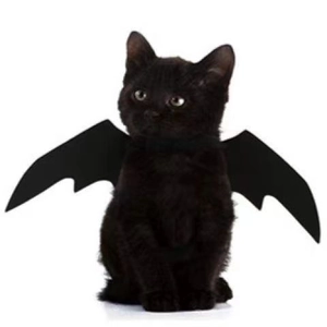 Halloween black bat wings costume for cats and small dogs on a clean white background