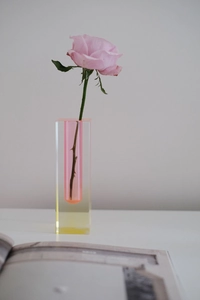 Detail view of pink and yellow gradient acrylic vase with a single pink rose flower