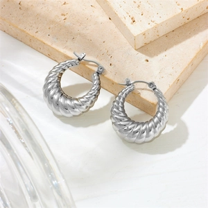 Silver twisted stainless steel hoop earrings on minimalist stone surface with glass
