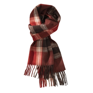 Classic red and black plaid faux cashmere winter scarf with elegant tassel detailing