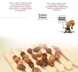Natural dried pine cones in various sizes for rustic home decor and photography props