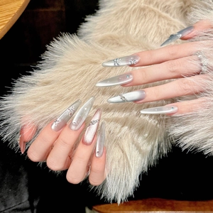 Silver cat eye stiletto press-on nails with 3D floral, butterfly, and rhinestone accents