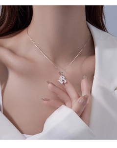 Close-up of S925 silver Capricorn zodiac pendant necklace with zircon on female model
