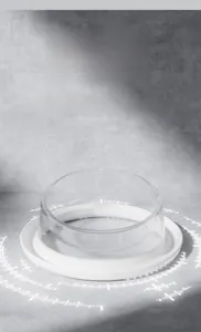 Detail of the anti-slip wide base on ceramic pet bowl to prevent tipping and sliding