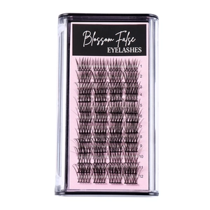 Front view of 12 rows natural segmented false eyelashes in a clear plastic box