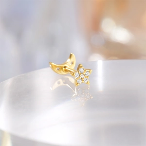 Macro shot of gold star earring with zircon stones and moon back on acrylic stand