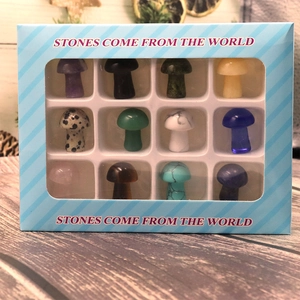 Set di 12 funghi di cristallo naturale in una scatola regalo blu su sfondo di legno naturale