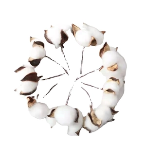 Natural dried cotton bolls set for DIY floral arrangements and Christmas decorations