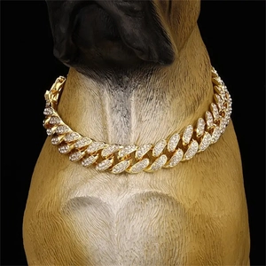 Close-up of gold Cuban pet chain with sparkling rhinestones on a bulldog model